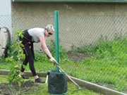 Výsadba na školní zahradě